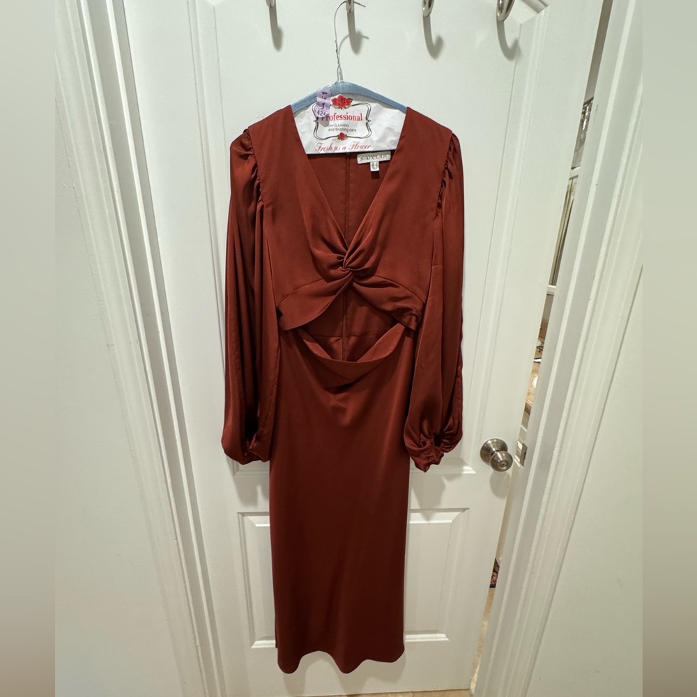 Shona Joy Rich Rust Long Sleeve Dress